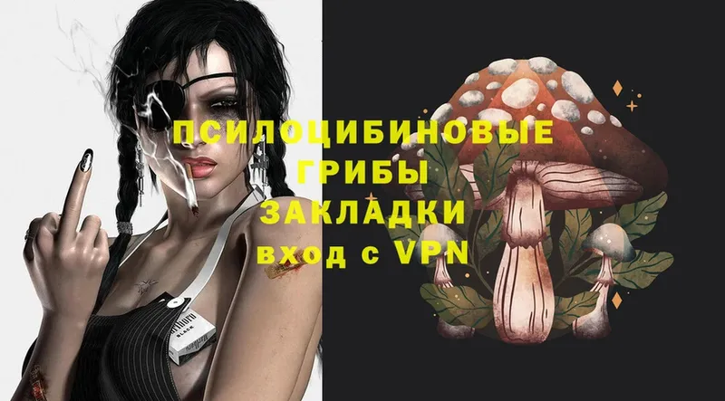 где купить   Краснознаменск  Галлюциногенные грибы Magic Shrooms 